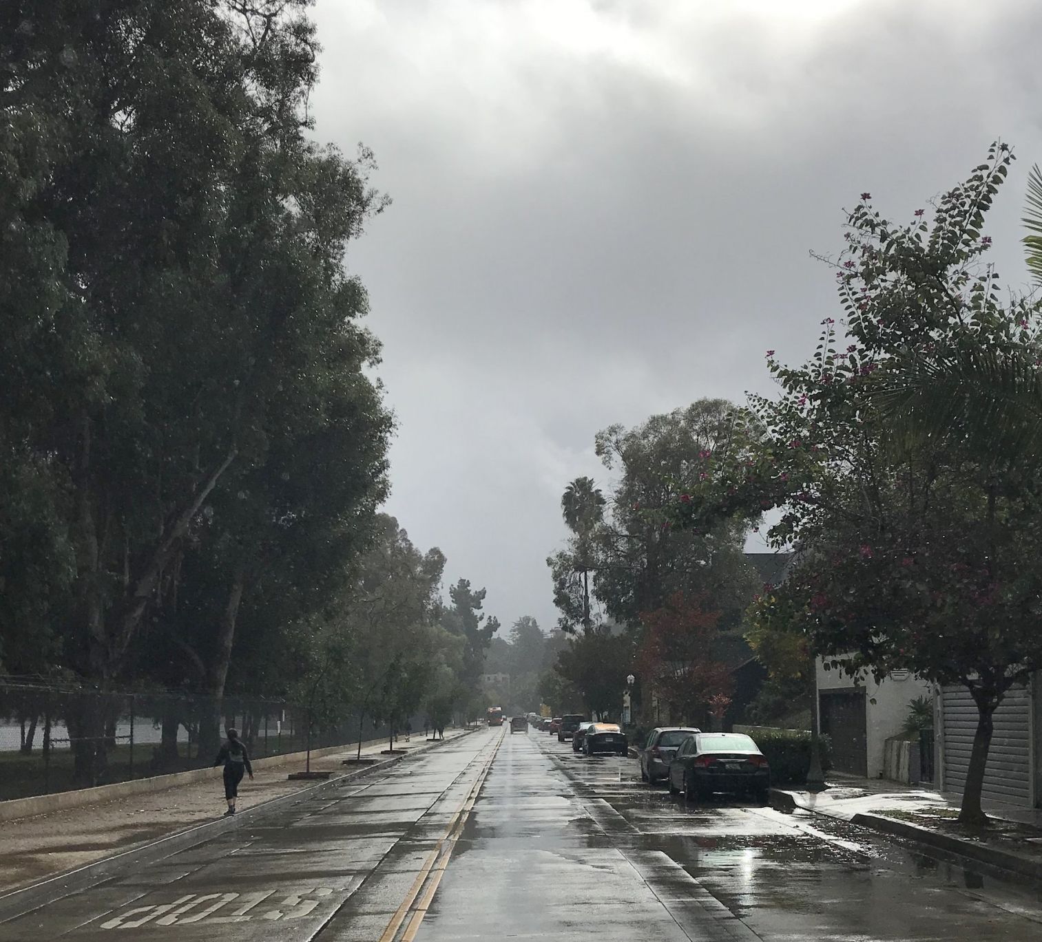 Soggy Sunday in Silver Lake